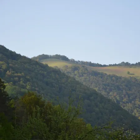 Vila даяна Ribarica