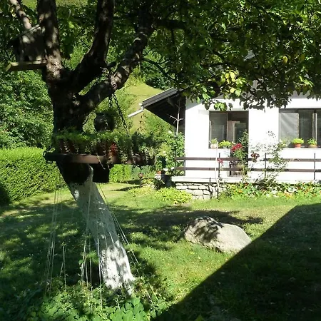 даяна Vila