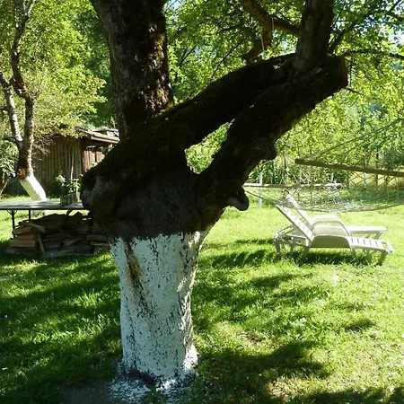 даяна Vila Ribarica